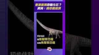 香港首現恐龍化石？ 網民：搞恐龍經濟｜ @dotdotnews點新聞 #shorts