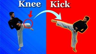 How to Train your Knees to get Best Kicks| Taekwondo tutorial