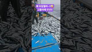배가 뒤집힐뻔 했습니다!