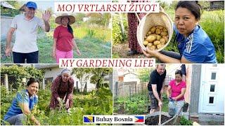 Moj vrtlarski život u Bosni i Hercegovini | Gardening Life of a Filipina in Bosnia