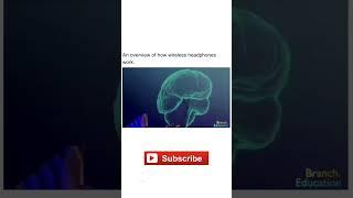How wireless earphones works 3D explanation PART 6 #shortvideo #shorts