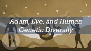 Adam, Eve, and Human Genetic Diversity - Richard Buggs