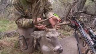 Early Morning Crossbow Hunt for Whitetail