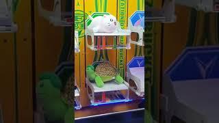 오늘도 사격 멜론 꼬북 뽑기 #인형뽑기 #clawmachine #クローマシン#funny #life #fyp #사격 #turtle #tortoise #doll