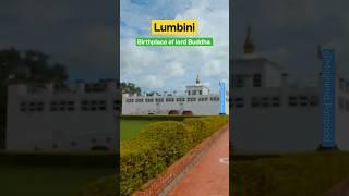 Lumbini #buddhism #buddhist #shortvideo #buddhistmonks #youtubeshorts #youtuber #nepal