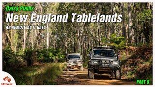 Hidden Gems of Daisy Plains - NSW 4WD Adventure | Final Episode Part 5