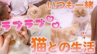 さぁやと甘えん坊兄弟猫のラブラブ生活【アルルイ】