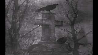 [Lofi/Chill] "Nevermore" by MO. The Raven Storyteller track. Lofi beats to get chills to.