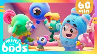 Find the Momma Bird | Minibods | Rob the Robot & Friends - Funny Kids TV