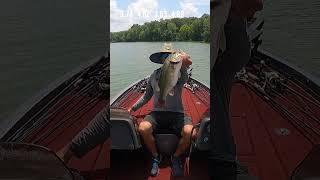 The HOTTEST Days can be the BEST ️ (Summer Ledge Fishing)