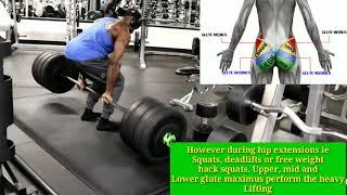 reverse deadlift free weight hacks