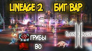 Lineage 2 PVP  |  Биг Вар Грибы vs BO | RuOFF Main 2024.