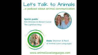 Let's Talk to Animals with Shannon Cutts and Kim Shotola & Allison Culver from The Lightfoot Way
