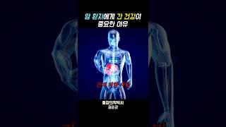 암 환자가 간 건강을 잃으면 끝장인 이유 알려드립니다 #암환자 #간 #건강