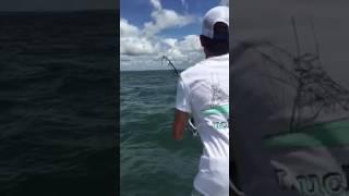 This kid is just a natural at catching tarpon