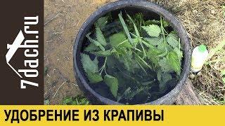 Удобрение из крапивы: травяной настой с Байкалом М - 7 дач