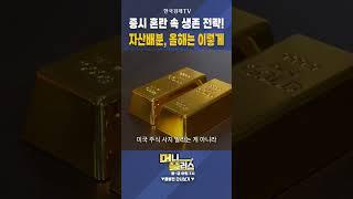 증시 혼란 속 생존 전략! 자산배분, 올해는 이렇게ㅣ홍춘욱ㅣ프리즘투자자문 대표