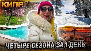 ЖИЗНЬ НА КИПРЕ: Четыре Сезона За Один День