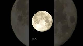 "The moon is beautiful, isn't it?"~The moon is a friend for the lonesomeness to talk to