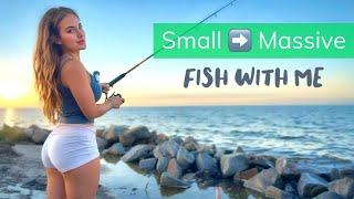 Food Chain Fishing Challenge: Turning baitfish into Bigger Fish