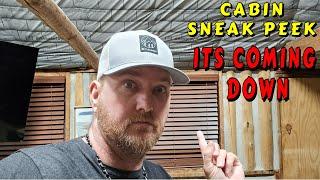 CABIN DEMO COMING SOON! |tiny house, homesteading, off-grid, cabin build, DIY HOW TO sawmill tractor