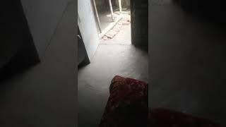 hih