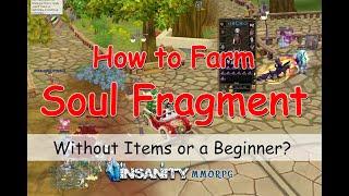 Insanity Flyff - How to constant Farm Soul Fragment as a Beginner