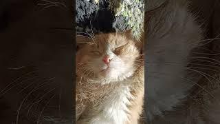 вася#хропач