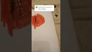 Рисую все страны