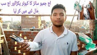 full time chiri Mari dharmpura pigeon club Lahore mustfabad #pigeon #lahorepakistan