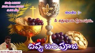 Holy Mass || Rev.Fr. Bhagya Raju IC || Rosminians || 17-06-2025