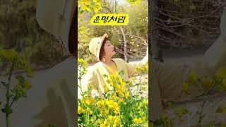 #운명처럼 #강문경 #김영희우리옷tv