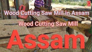 Wood Cutting Saw Mill in Assam//Wood Cutting Saw Mill//2020