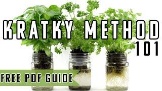 Kratky Method Hydroponics Explained