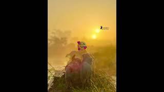 #love #dog #punjab #ropar #gurukirp #photography #doglike #enjoy #mahlan