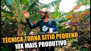 AGROFLORESTA = SUPERPRODUÇÃO EM PEQUENO ESPAÇO