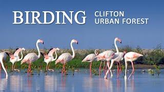 Birding at Clifton Urban Forest, Sea View Karachi