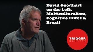 David Goodhart on the Left, Multiculturalism, Cognitive Elites & Brexit