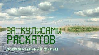 Nature of Russia. Delta of the Volga. Astrakhan nature reserve. Bird paradise.