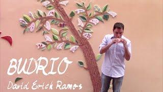 Budrio (Original Song) - David Erick Ramos