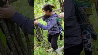 The hard life of a single mother in the mountains. Thank you for watching the video #singlemom