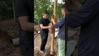 《荒野生存日记：亲手打造梦想中的小木屋》
