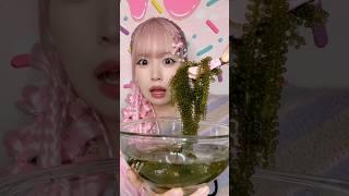 韓国コンビニのふくらむぷちぷち海ぶどうASMR🫧🫧#shorts #asmr #mukbang #food #咀嚼音 #モッパン