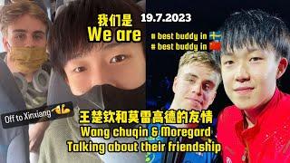 Friendship between Wang CHUQIN & Truls MOREGARD 王楚钦和莫雷高德的友情 19.7.2023