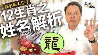 【龍】十二生肖之姓名解析｜姓名與人生｜全球風水易經姓名學大師張定瑋