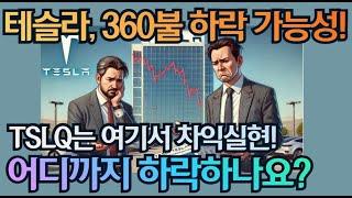 [고버니] 테슬라, 360불 하락을 조심해야 합니다!