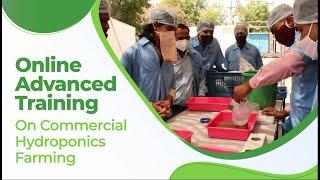 Register Now For Brio Hydroponics Online Advanced Training on Commercial Hydroponics Farming