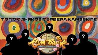 ТОП 5 СИНЯКОВ СЕРВЕРА COMEBACK PW