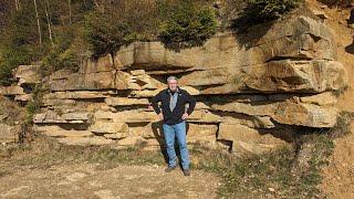 Dinosaurierfährten auf dem Bückeberg