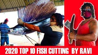 Top 10 Fish Cutting Skills 2020 | Top 10 Most Viewed Fish Cutting Videos By Mr.Ravi